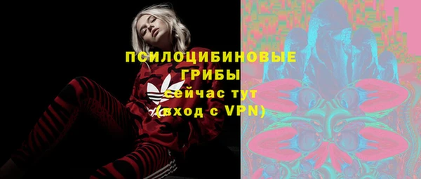 хмурый Липки