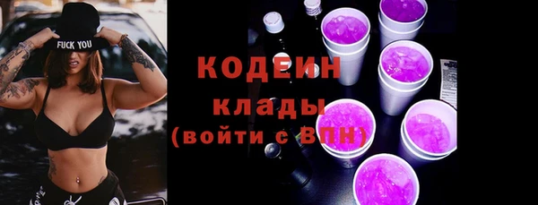 молекула духа Лабытнанги