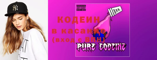 молекула духа Лабытнанги