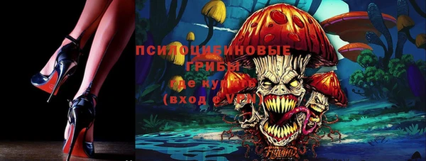 хмурый Липки