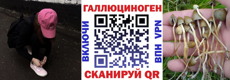 Псилоцибиновые грибы прущие грибы  Севастополь 